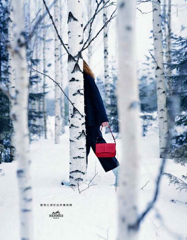 에르메스 광고_hermes-grande-nature_2016-fall-13