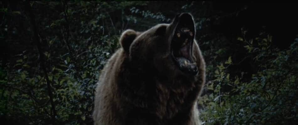 곰밥 캐논이 일년에 한명씩 보낸다