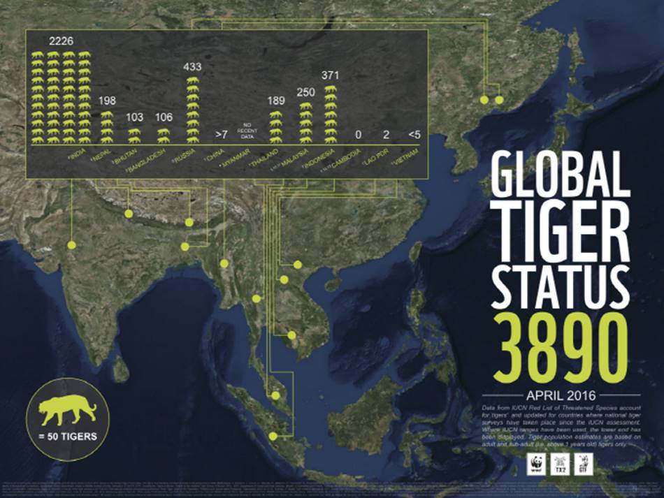 %ea%b8%80%eb%a1%9c%eb%b2%8c-%ec%95%bc%ec%83%9d-%ed%98%b8%eb%9e%91%ec%9d%b4-%ea%b0%9c%ec%b2%b4%ec%88%98_infographic_tiger_global