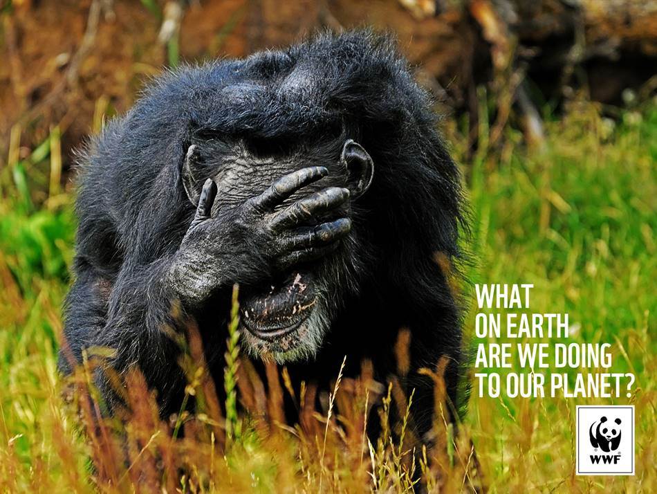 %eb%8f%84%eb%8c%80%ec%b2%b4-%ec%9a%b0%eb%a6%ac%ea%b0%80-%ec%a7%80%ea%b8%88%ec%97%90-%eb%ac%b4%ec%8a%a8-%ec%a7%93%ec%9d%84-%ed%95%9c%ea%b1%b0%ec%95%bc-wha-on-earth-are-we-doing-to-our-planet-02