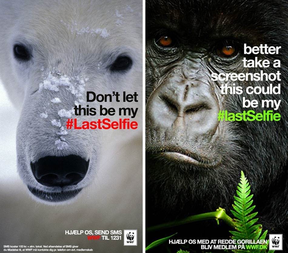 %eb%a7%88%ec%a7%80%eb%a7%89-%ec%85%80%ed%94%bc%ea%b0%80-%eb%90%98%ec%a7%80-%ec%95%8a%ea%b8%b8_dont-let-this-be-my-lastselfie_wwf-campaign-02