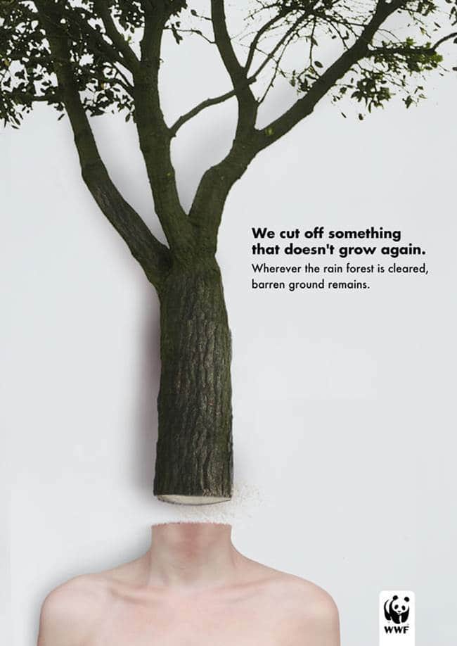 %eb%b2%8c%eb%aa%a9-%eb%b0%a9%ec%a7%80-%ec%ba%a0%ed%8e%98%ec%9d%b8-05