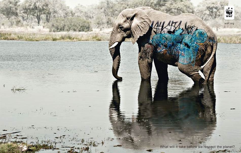 %ec%84%b8%ea%b3%84%ec%95%bc%ec%83%9d%eb%8f%99%eb%ac%bc%ea%b8%b0%ea%b8%88%ed%98%91%ed%9a%8cwwf_what-will-it-take-before-we-respect-the-planet-01