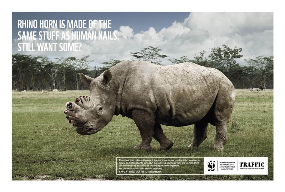 %ec%84%b8%ea%b3%84%ec%95%bc%ec%83%9d%eb%8f%99%eb%ac%bc%ea%b8%b0%ea%b8%88%ed%98%91%ed%9a%8cwwf_%ec%bd%94%eb%bf%94%ec%86%8c%eb%a5%bc-%eb%b3%b4%ed%98%b8%ed%95%98%ec%9e%902_wwf_rhino_r_04_small_03