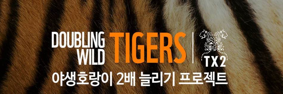 %ec%95%bc%ec%83%9d%ed%98%b8%eb%9e%91%ec%9d%b4-2%eb%b0%b0-%eb%8a%98%eb%a6%ac%ea%b8%b0-%ed%94%84%eb%a1%9c%ec%a0%9d%ed%8a%b8