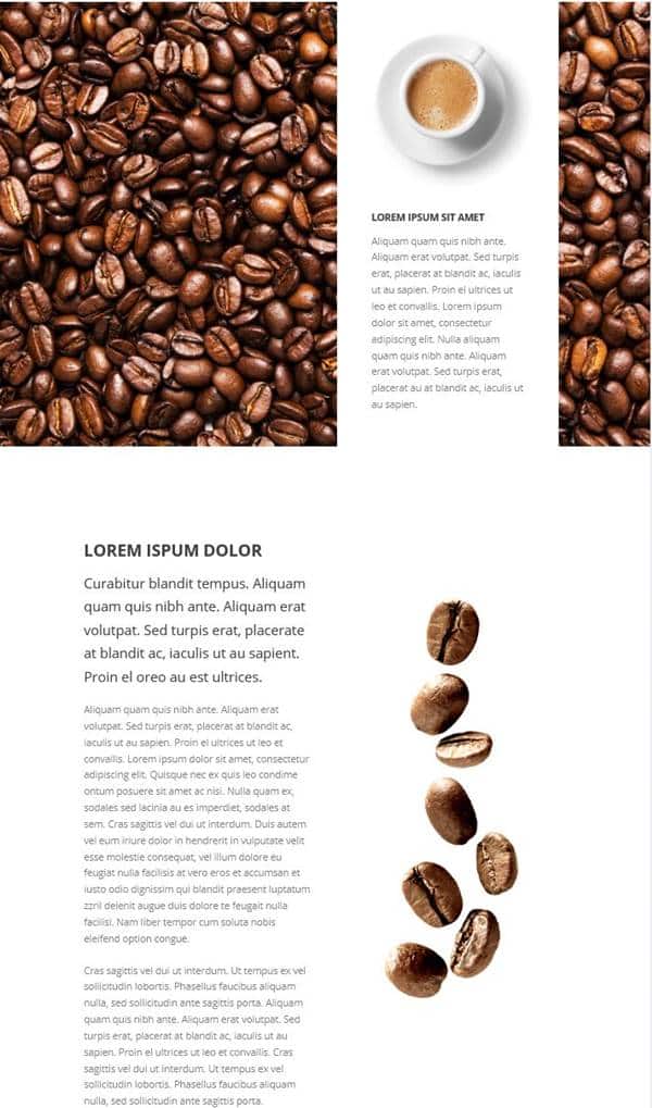  Extra 테마에서 보여주었던 잡지같은 편집 화면