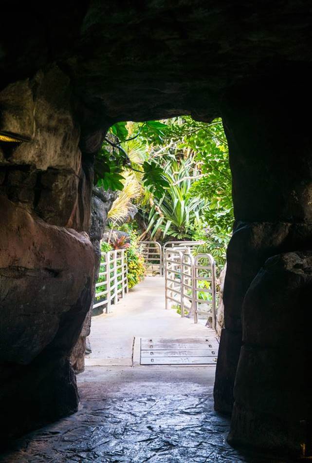 PIC 디너쇼 가는길에 만나는 동굴