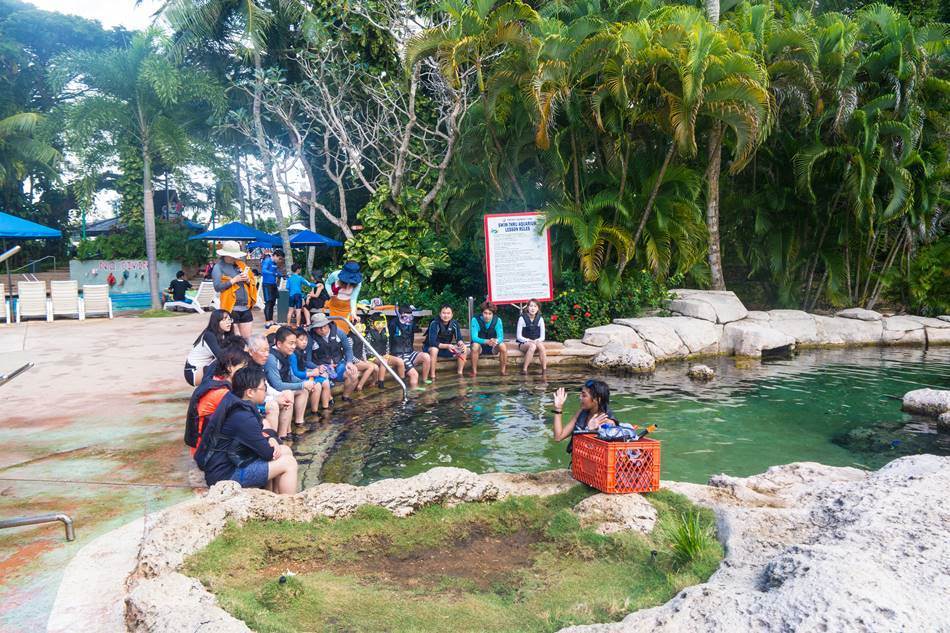 얼렁뚱땅 다녀온 괌(GUAM) 여행기 – PIC GUAM에서 즐거운 시간 28