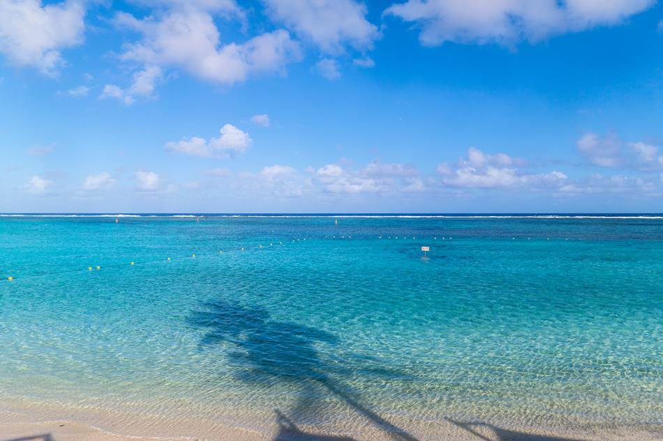 괌여행_PIC 풍경_야자수 그늘의 바다-4681