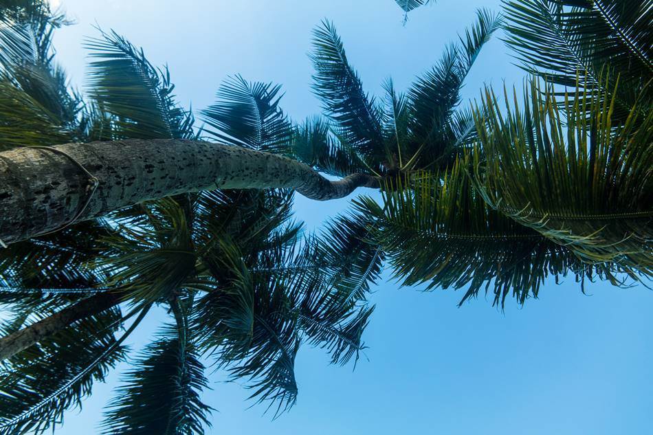 얼렁뚱땅 다녀온 괌(GUAM) 여행기 – PIC GUAM의 아름다운 풍광 7가지 10