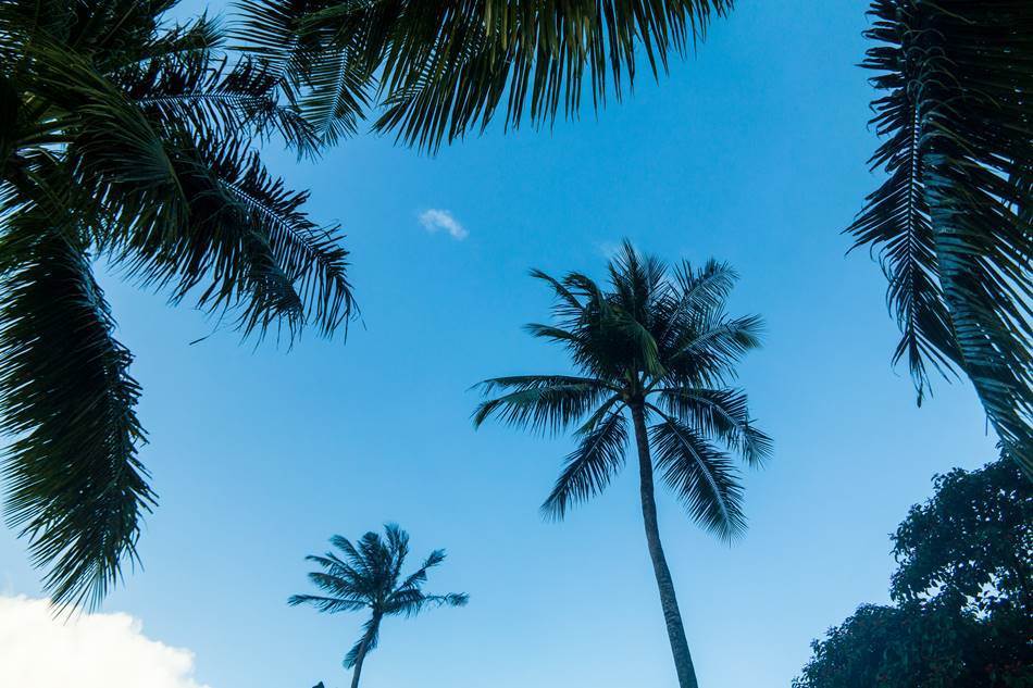 얼렁뚱땅 다녀온 괌(GUAM) 여행기 – PIC GUAM의 아름다운 풍광 7가지 11