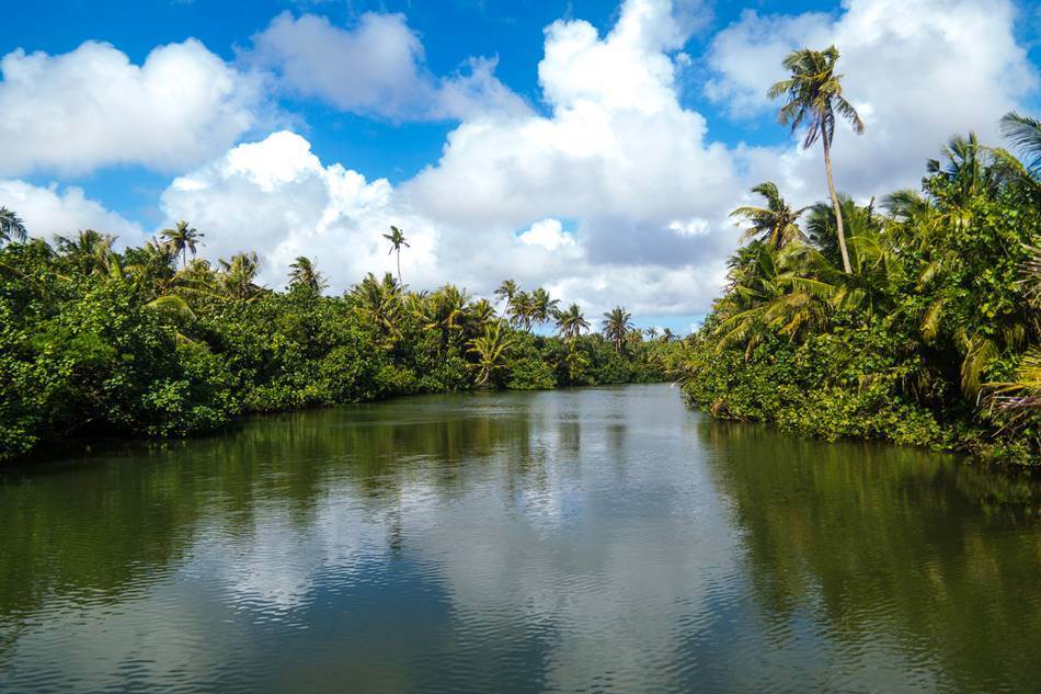 정글 리버 쿠르즈(riverboat cruise)중에 담은 탈로포포 강(Talofofo River)의 풍경들