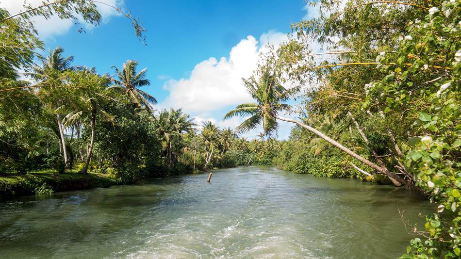 정글 리버 쿠르즈(riverboat cruise)중에 담은 탈로포포 강(Talofofo River)의 풍경들 