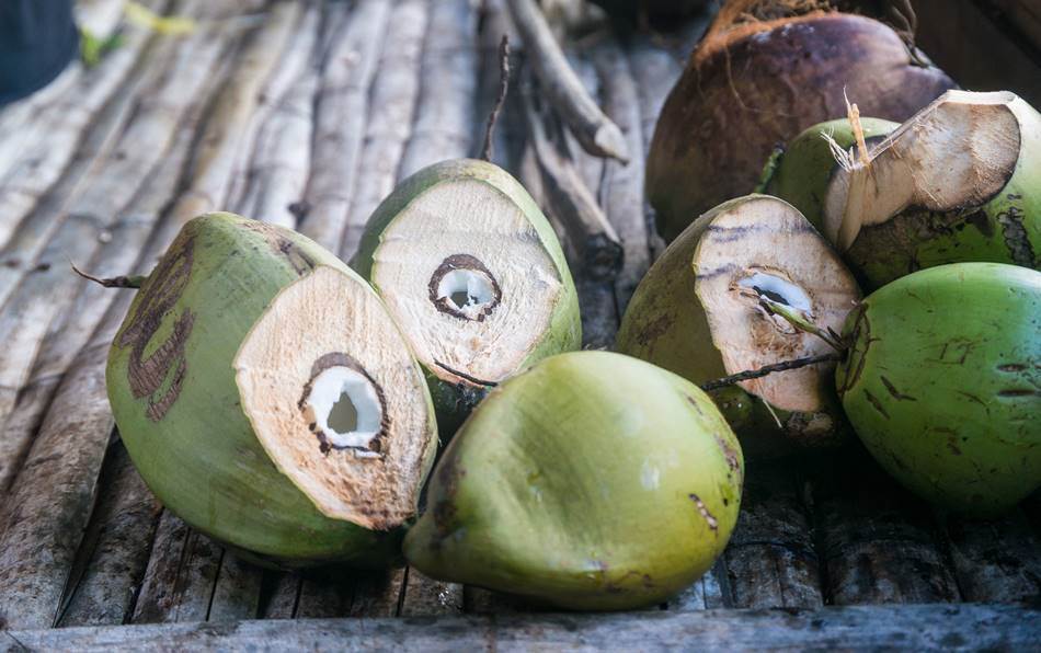 코코넛 공예를 위해서 가져다 놓은 파인애플