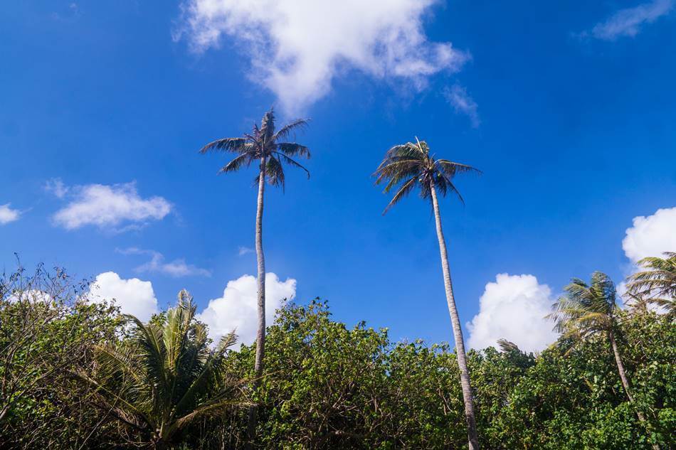 얼렁뚱땅 다녀온 괌(GUAM) 여행기 – 괌의 아름다움과 전통 문화가 가득한 정글 리버 쿠르즈(Riverboat Cruise) 24