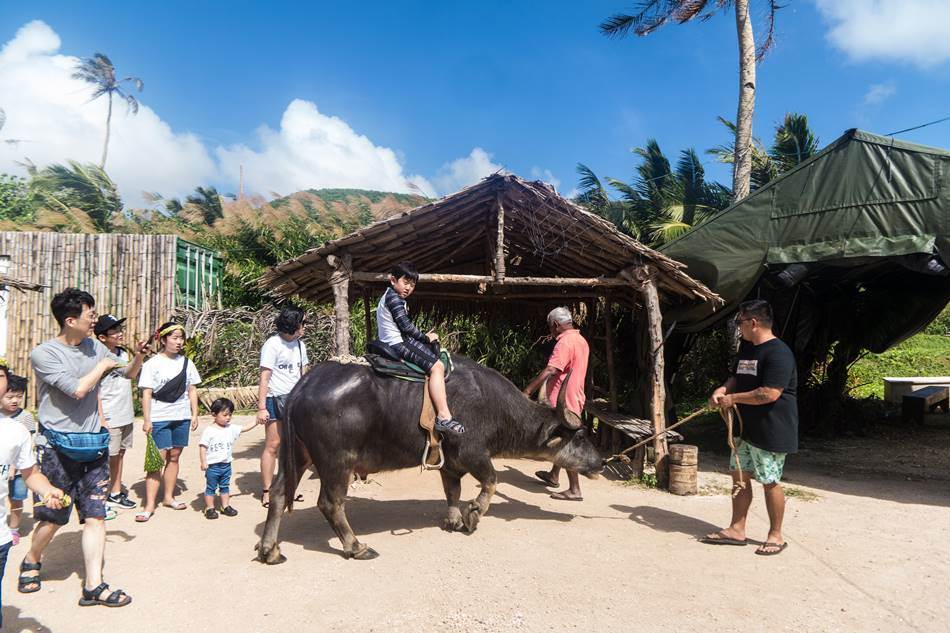 물소를 타는 은결