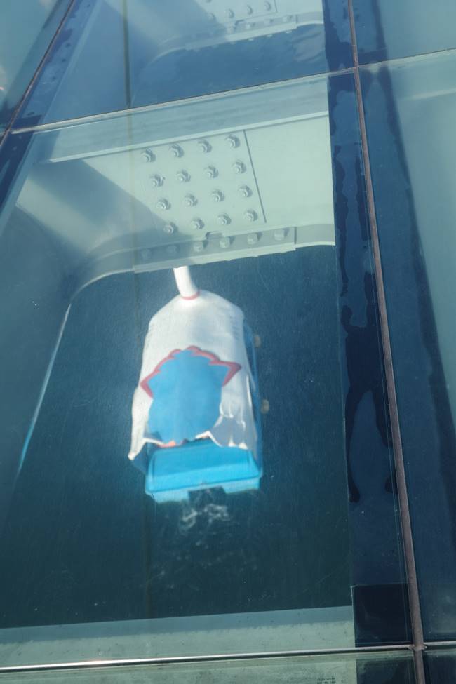 소양강 스카이쿼크아래로 지나는 오리배-6124