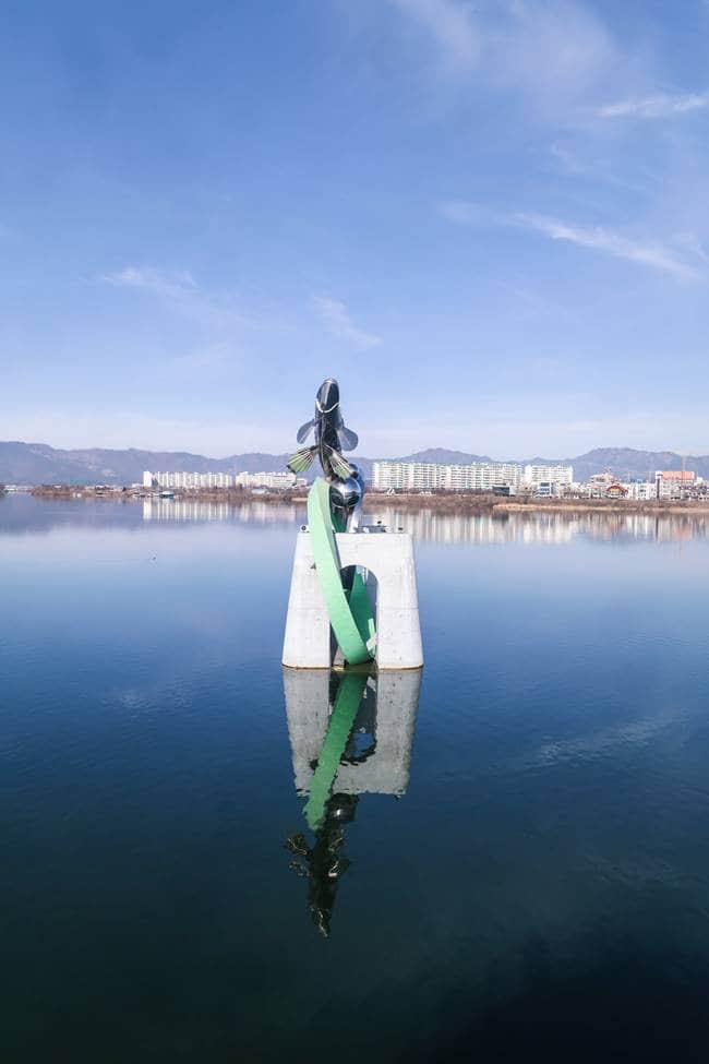 소양강 스카이워크에서 바로 바라보이는 의암호 쏘가리 물고기상