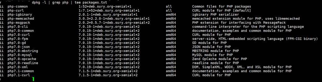 PHP 7.1로 업그레이드_설치 PHP버젼을 보자