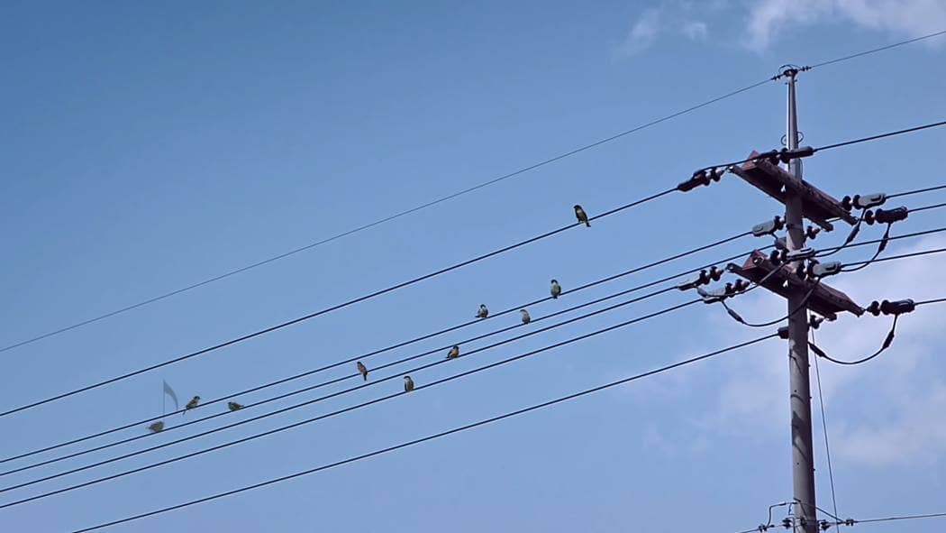 소니뮤직 MDR-1000X 아이유 광고 음악을 사랑하는 사람들을 위하여, for and by Music Lovers 광고 스틸컷21