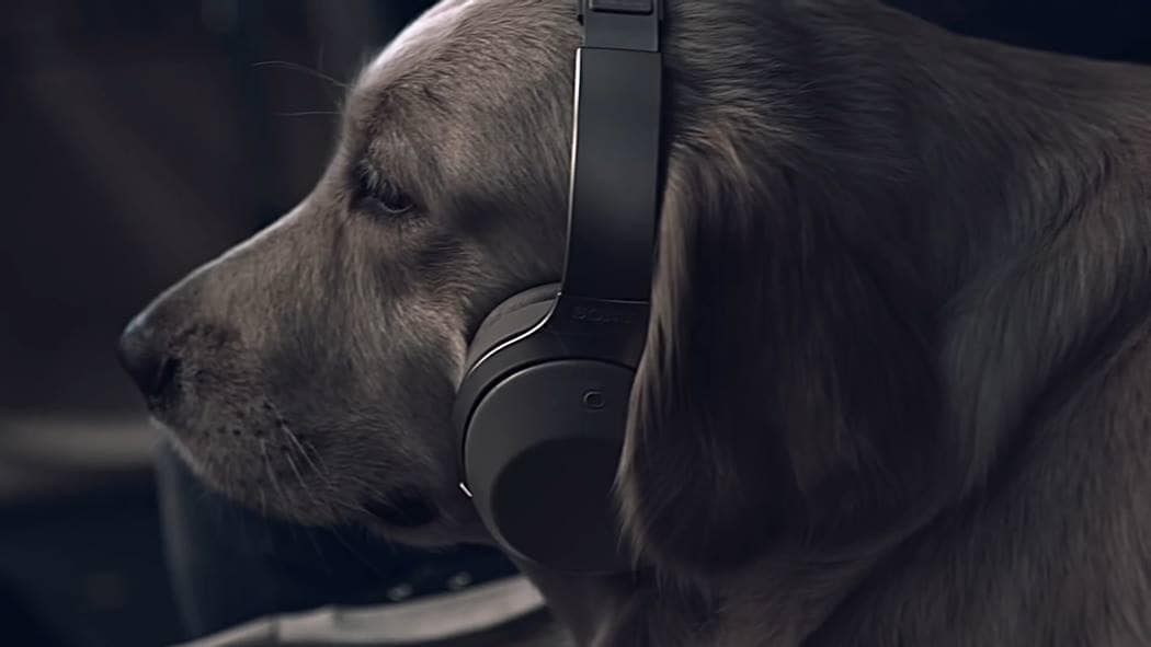 소니뮤직 MDR-1000X 아이유 광고 음악을 사랑하는 사람들을 위하여, for and by Music Lovers 광고 스틸컷23