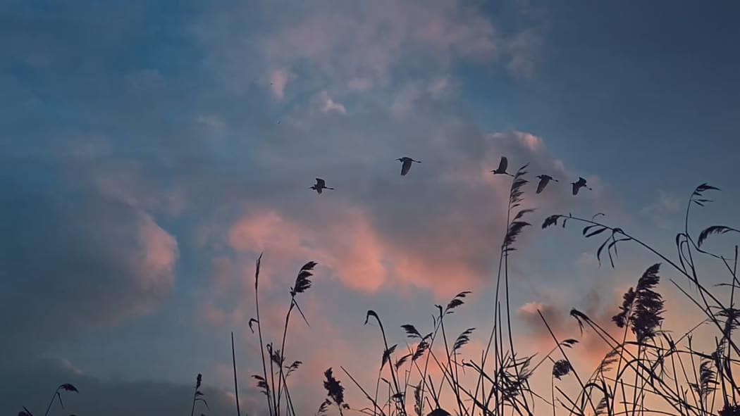 소니뮤직 MDR-1000X 아이유 광고 음악을 사랑하는 사람들을 위하여, for and by Music Lovers 광고 스틸컷30