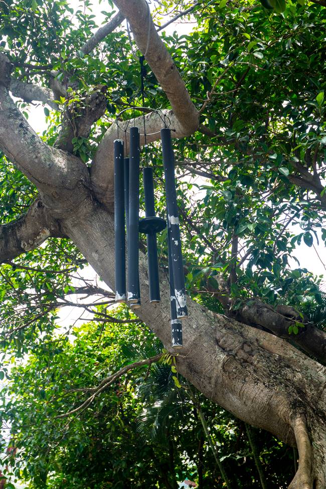 린응사 고목에 달려있는 풍경-6159