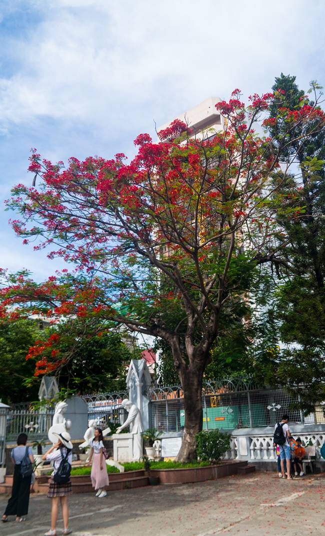 베트남 다낭 여행 - 다낭 대성당 아름다운 꽃 그리고 조각상