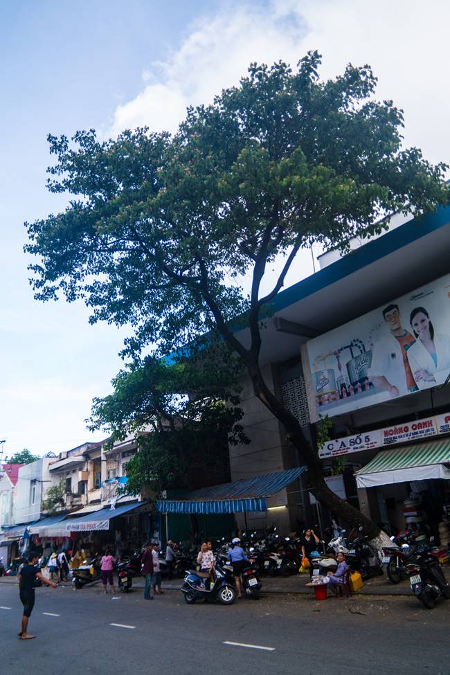 베트남 다낭 여행 - 다낭 한마켓 근처-3746