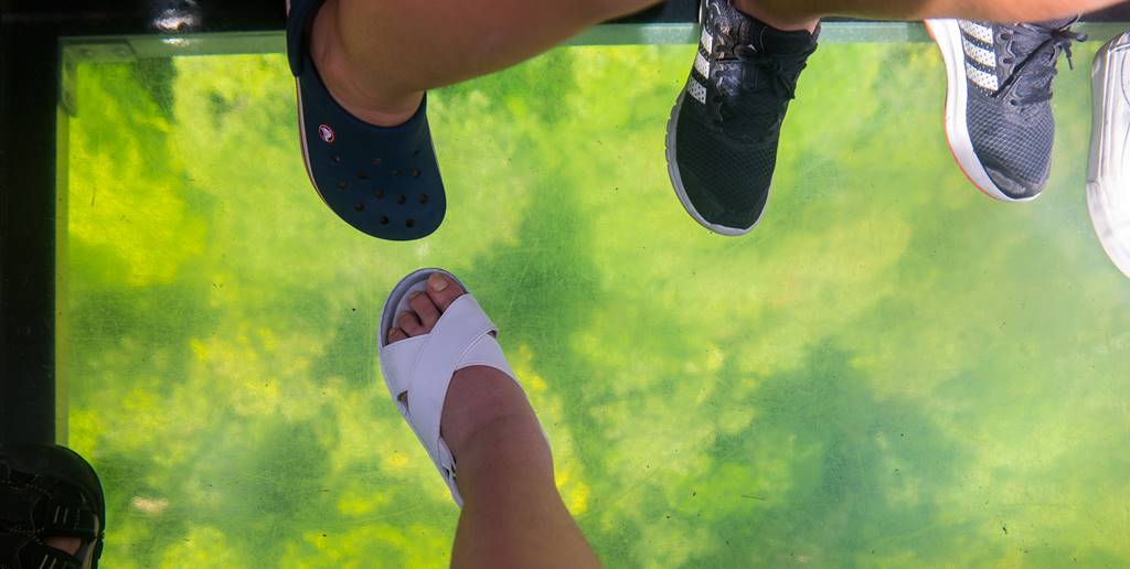 베트남 다낭 여행 - 바나 힐(Bana Hill)  케이블카 바닥 -3996