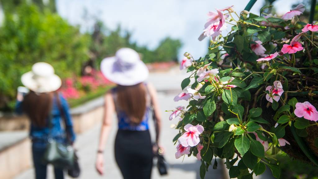 베트남 다낭 여행 - 바나 힐(Bana Hill) Happiy Garden 꽃과 여인-4046