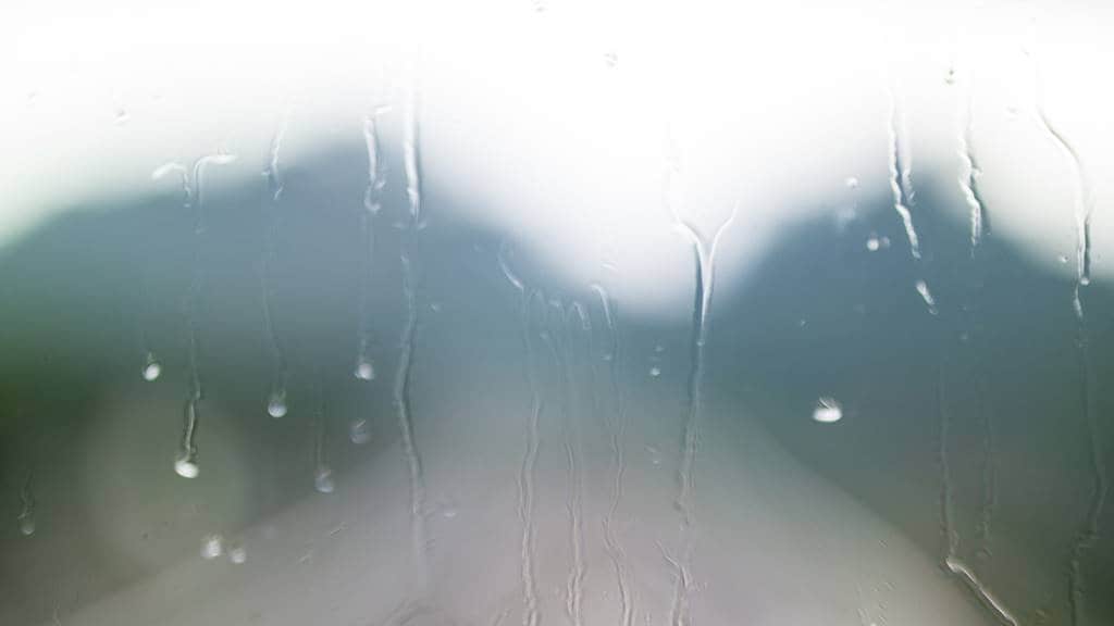 용인 경전철 밖 풍경