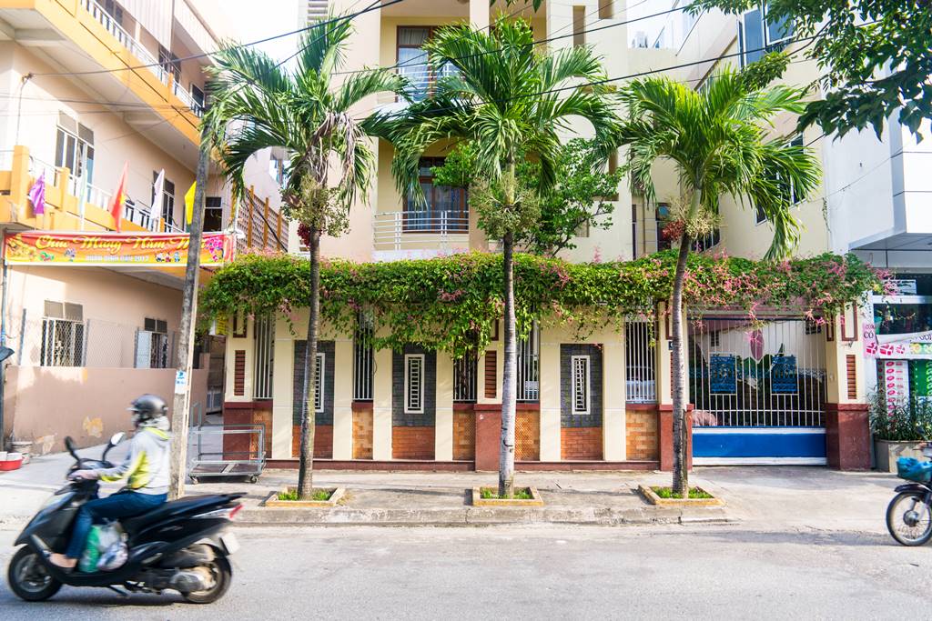 다낭에서 만난 꽃