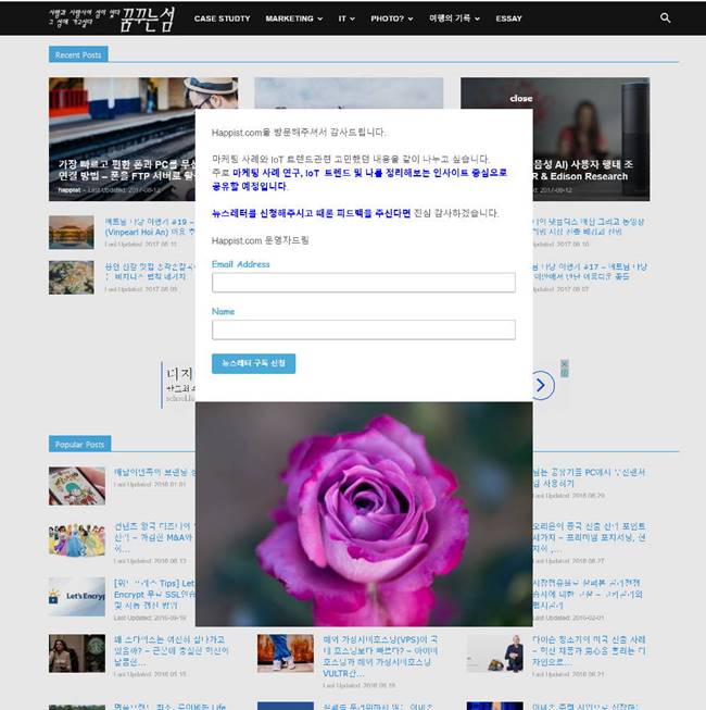 메일침프 뉴스레터 가입폼이 적용 된 모습