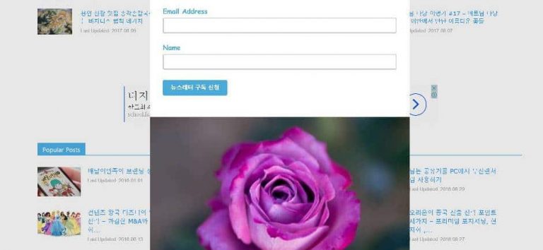 [이메일마케팅] 메일침프로 워드프레스용 팝업 뉴스레터 가입폼 만들기