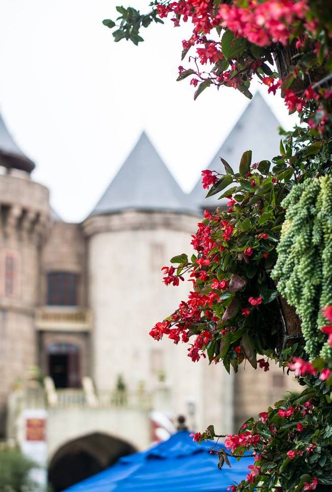 바나 힐(Bana Hill) 광장에서 담아 본 풍경,
꽃과 성같은 건물 풍경