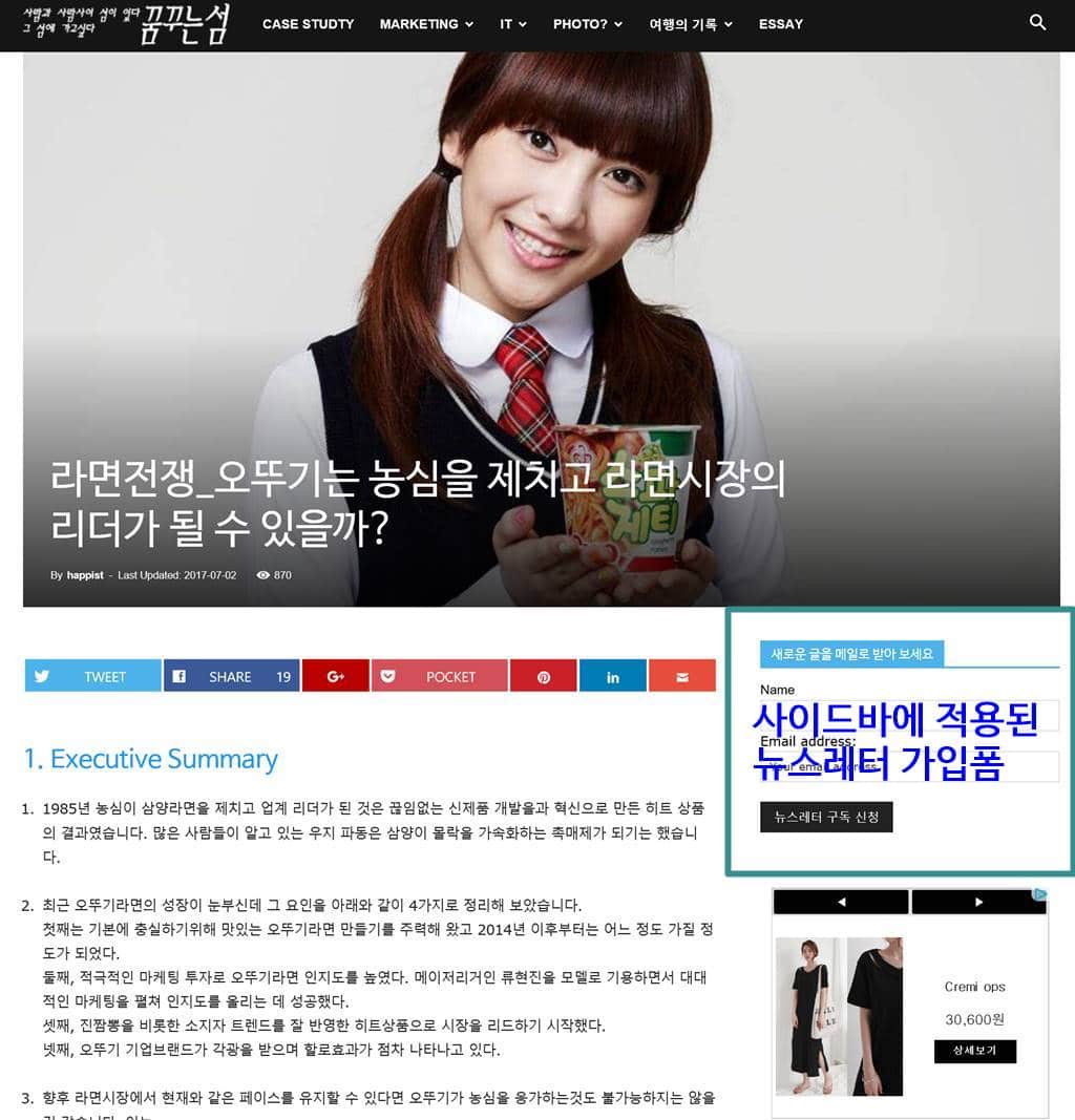 사이드바 위젯에 뉴스레터 가입폼 추가한 모습