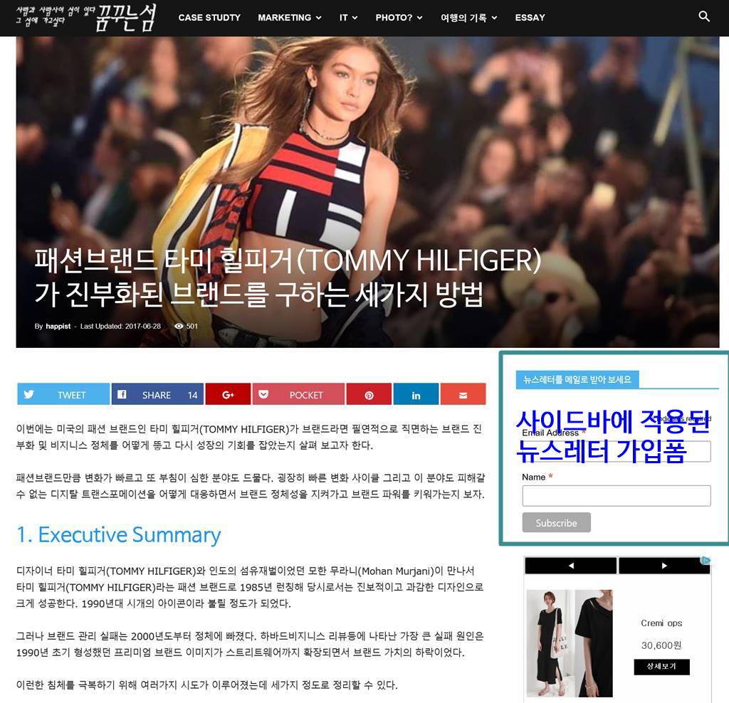 사이드바 위젯에 뉴스레터 가입폼 추가한 모습2