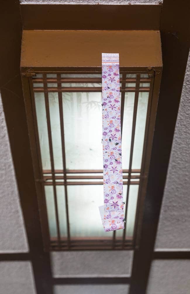 용인 신갈 총각칼국수 내부 파리잡는 끈적이