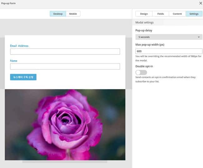 팝업 뉴스레터 가입폼 만들기 세팅