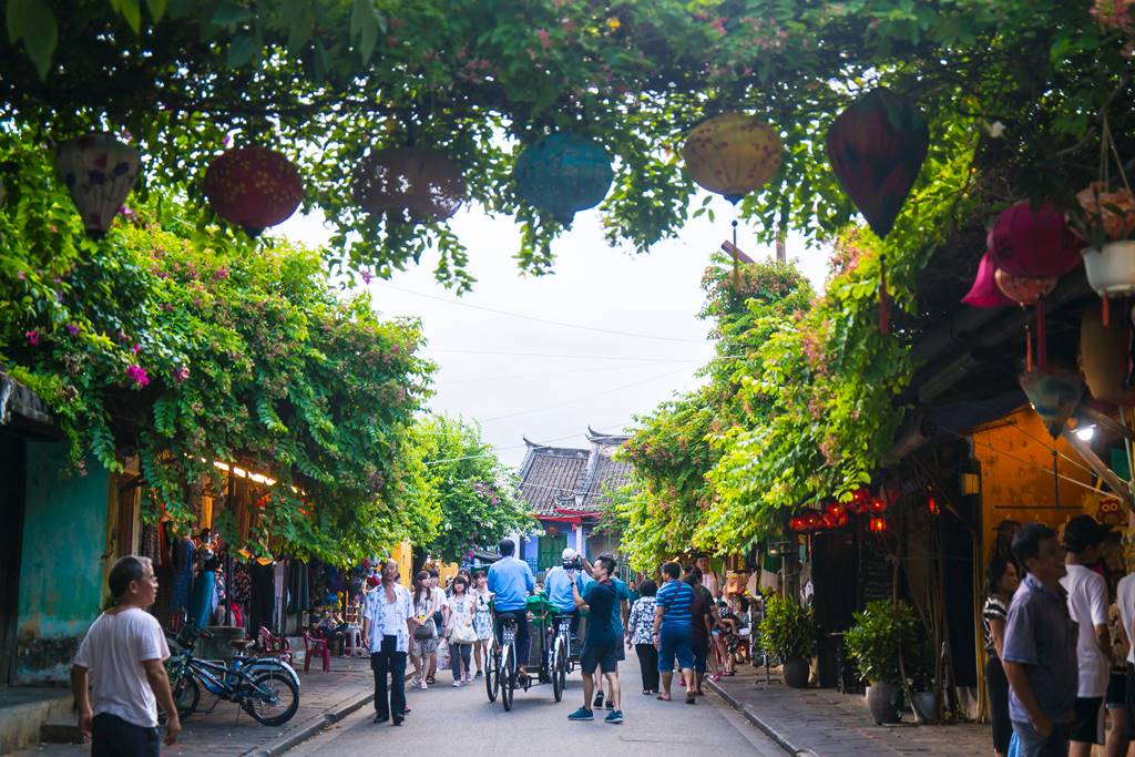 호이안(Hội An 會安) - 꽃이 있는 풍경 05