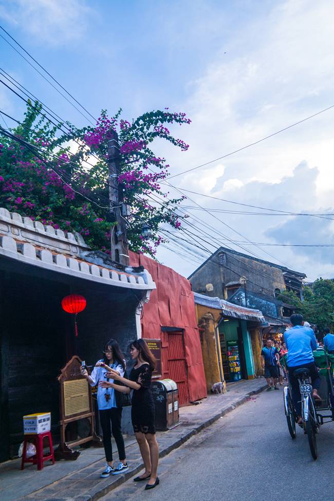호이안(Hội An 會安) - 꽃이 있는 풍경 07