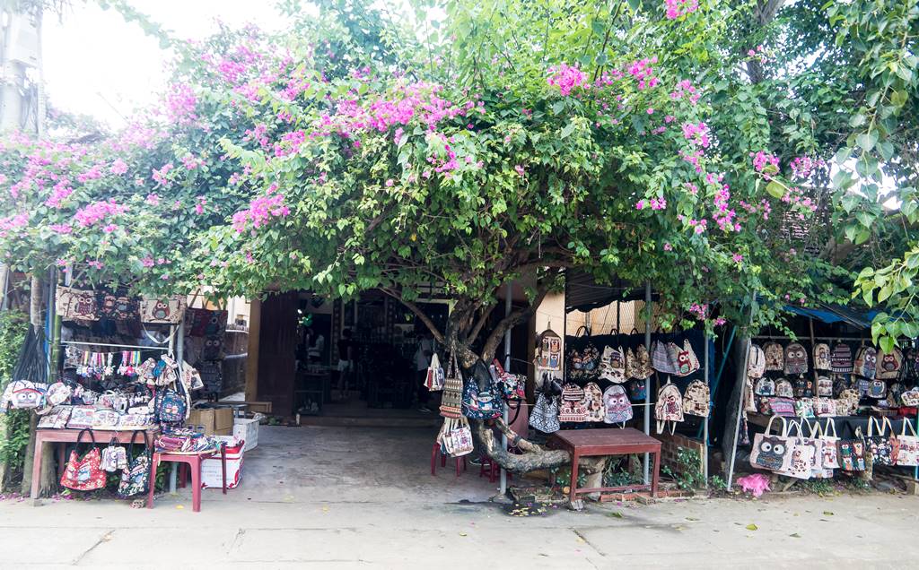 베트남 다낭 여행기 #17 – 베트남 다낭과 호이안에서 만난 아름다운 꽃들 29