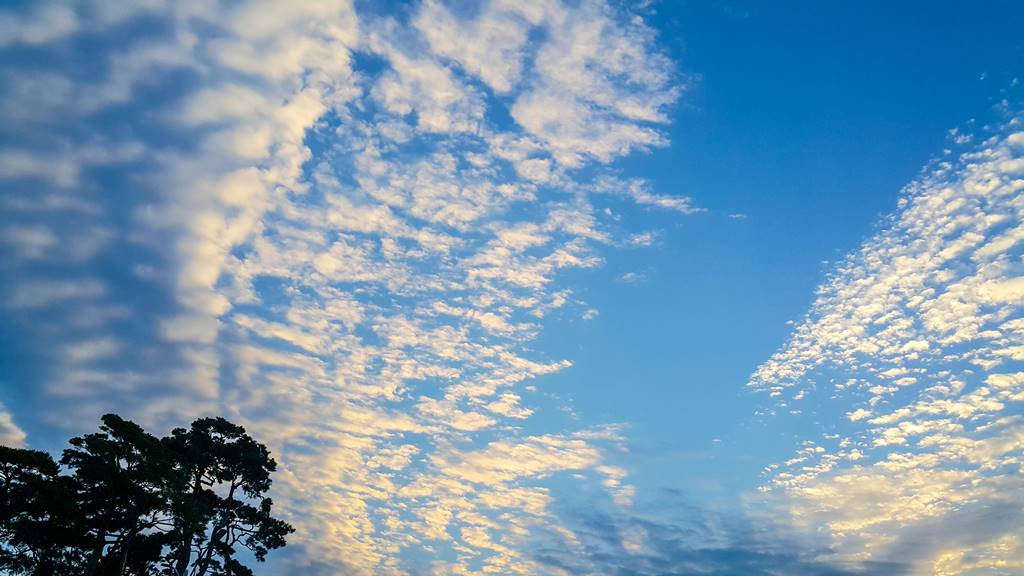 갤럭시노트4로 담아본 하늘-001 삼성전자 정문