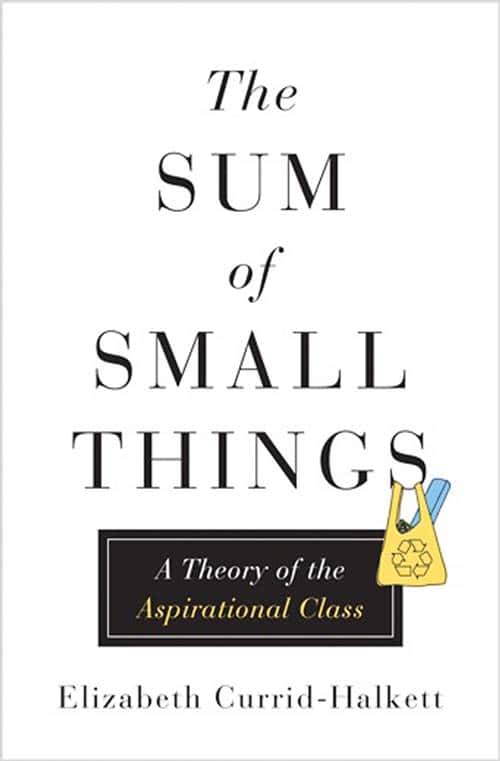 'The Sum of Small Things - A Theory of the Aspirational Class 책표지 New conspicuous consumption book