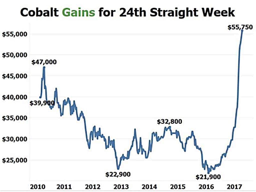 코발트 가격추이 Cobalt Price Trend