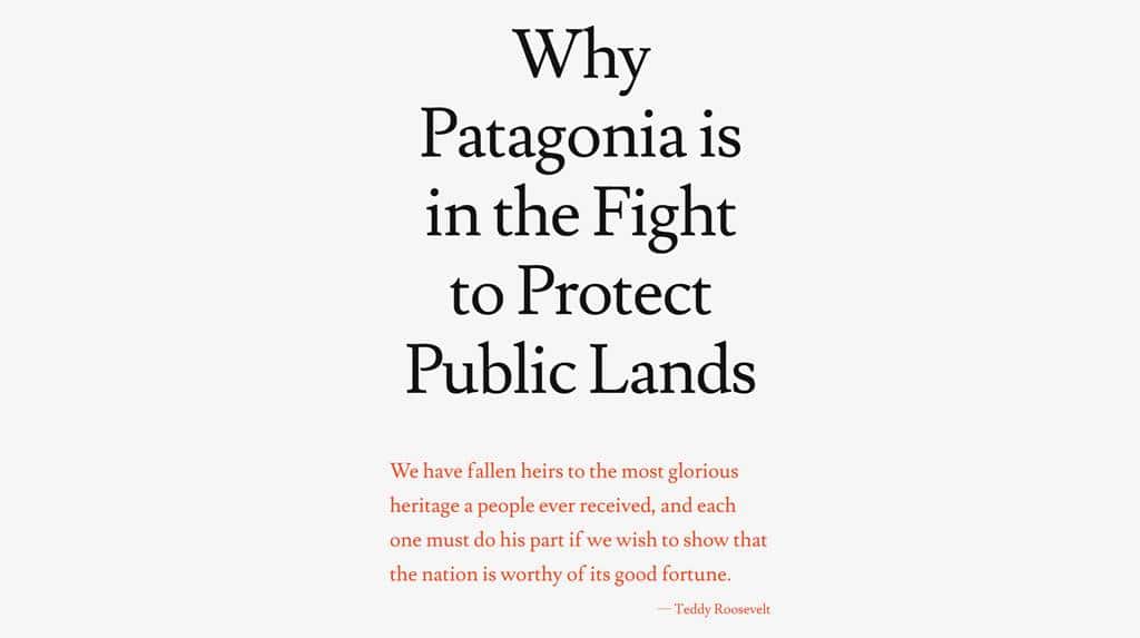 파타고니아 홈페이지 대통령이 당신의 땅을 훔치고 있다 The President Stole Your Land 023