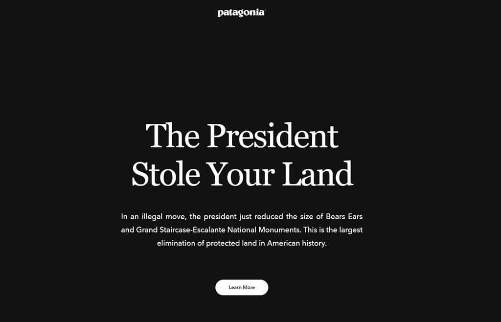 파타고니아 홈페이지 대통령이 당신의 땅을 훔치고 있다 patagonia The President Stole Your Land