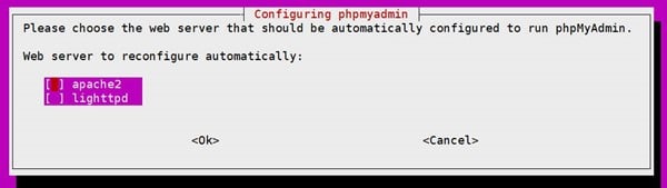 phpMyAdmin 설치 시 나타나는 2번째 메세지 웹서버 선택