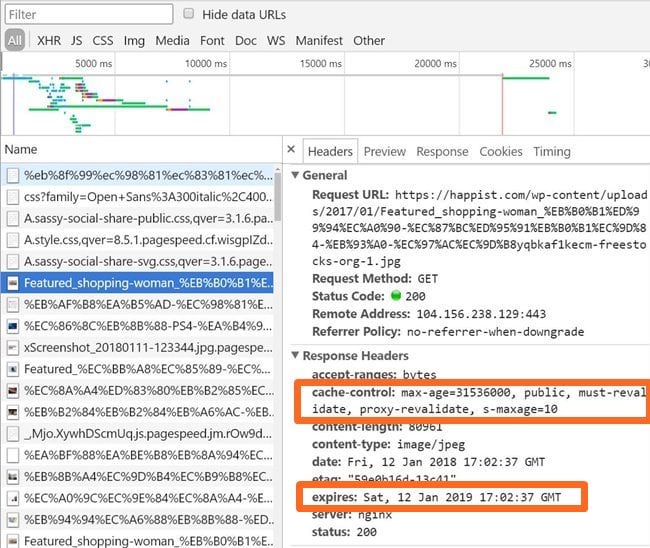 [워드프레스 최적화] 브라우저 캐싱(Browser Caching) 설정으로 빠른 속도와 트래픽 절감이란 두마리 토끼를 잡아 보자 ...